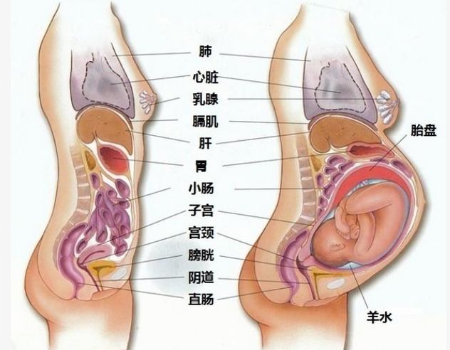 第443页