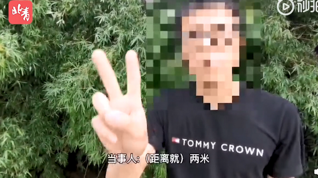 第442页